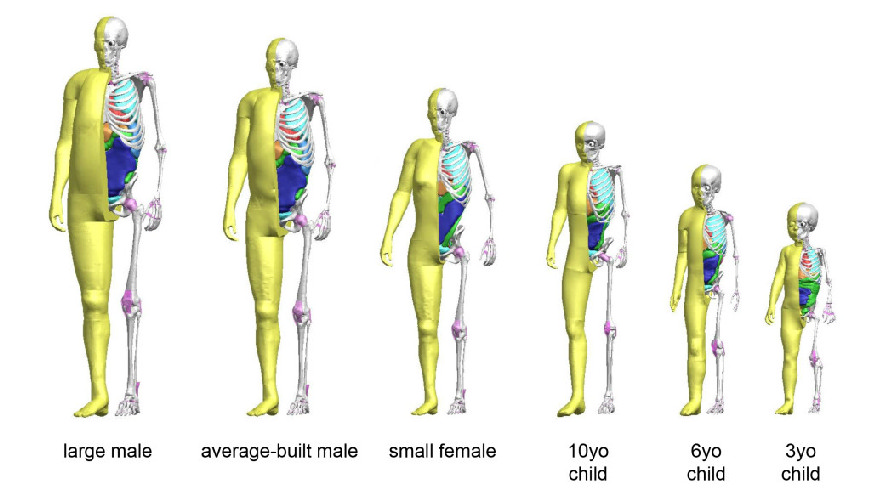 toyota-crash-dummy-crash-test-dummy-crash-test-thums-pic1-1024x579