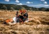 KTM 65 SX MY 2017 Action