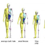 toyota-crash-dummy-crash-test-dummy-crash-test-thums-pic1-1024x579