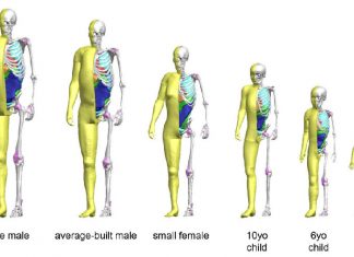 toyota-crash-dummy-crash-test-dummy-crash-test-thums-pic1-1024x579