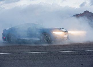 shelby4