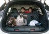 Nissan X-TRAIL 4Dogs: Το ιδανικό αυτοκίνητο για οικογενειακές περιπέτειες