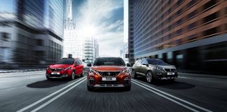 Τρένο η PEUGEOT στην Γαλλική αγορά αυτοκινήτου το 2017
