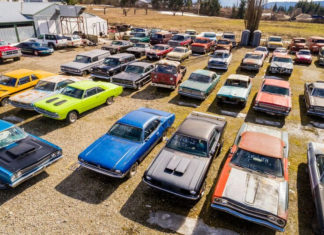 Mike-Hall-cars-5