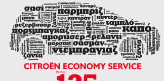 Economy Service Citroen - Μόνο με 125€!