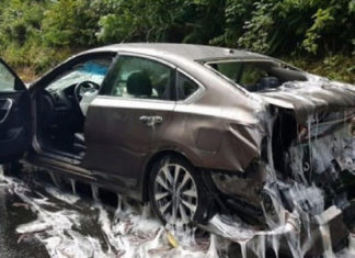 oregon highway slimed