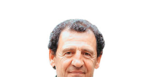 stefanis cr