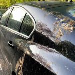 Όταν οι αυτοκινητοβιομηχανίες δημιουργούν συνθετικές κουτσουλιές για την προστασία του χρώματος