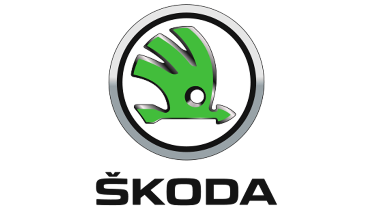 Что означает skoda