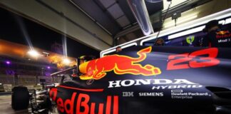red-bull-honda - gonews