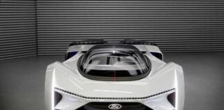 Team Fordzilla P1