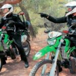 Ομάδα «Θησέας»