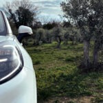 Αυτοκίνητα από…ελαιόδεντρα (video)